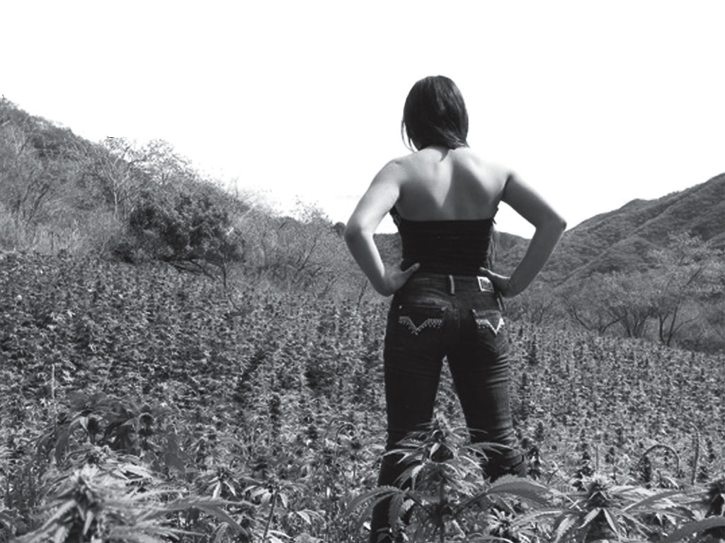 Feminist Historian Presents on Women Drug Traffickers in Latin America